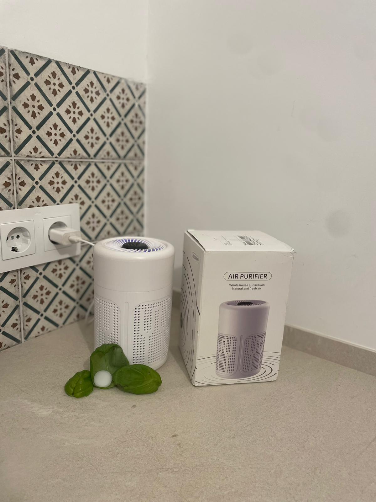 Filtro HEPA para el hogar